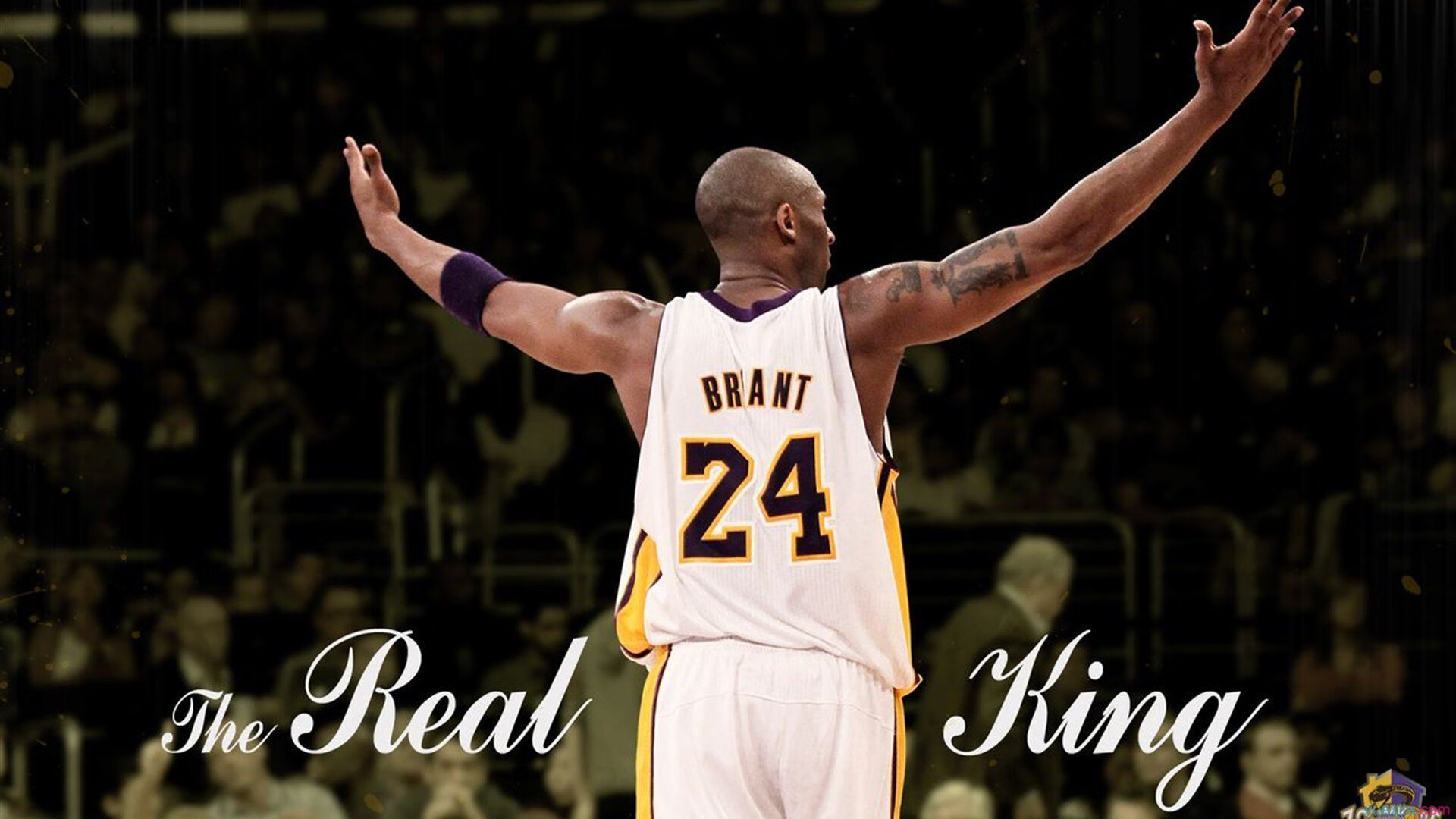 哈斯克冲线速度惊艳全场，哈斯克尔