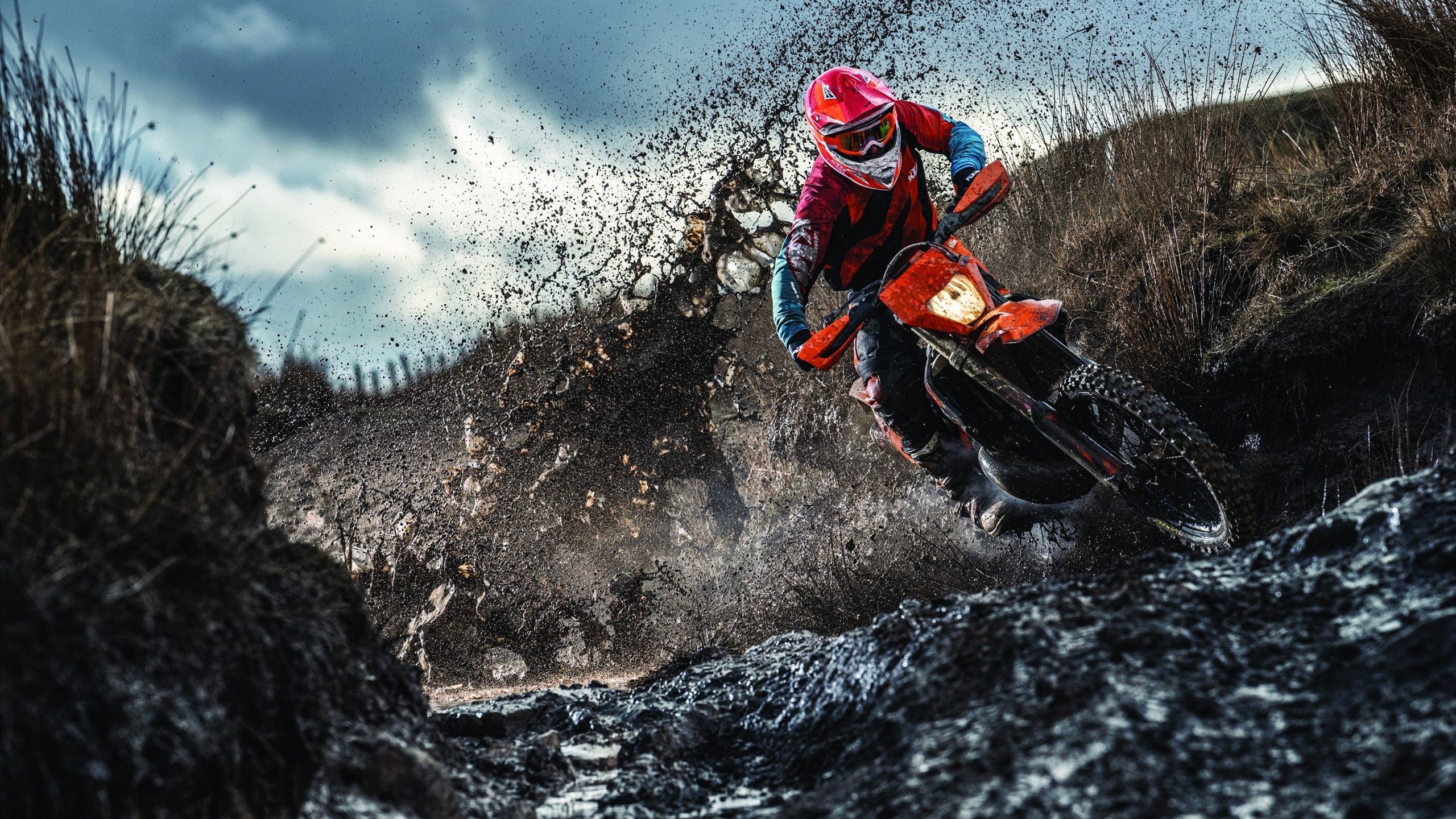 王楚钦指导青少年展现亲和一面，王 楚钦